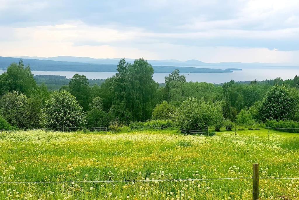 Utsikten -Exklusivt Nybyggt Timmerhus -Plintsberg. Талберг Экстерьер фото